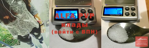 ПСИЛОЦИБИНОВЫЕ ГРИБЫ Инта