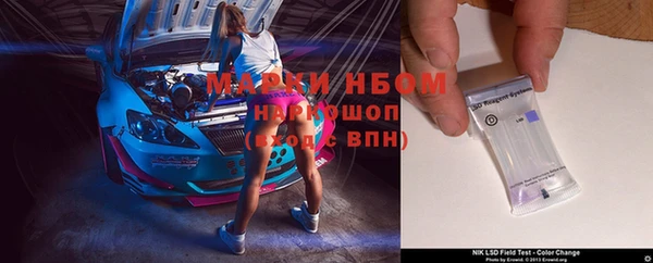 амф Инсар