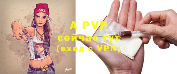 ПСИЛОЦИБИНОВЫЕ ГРИБЫ Инта