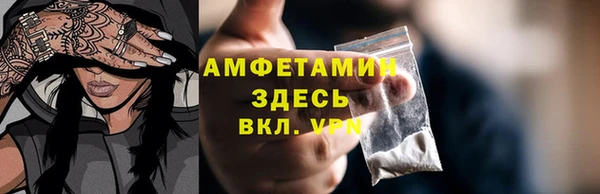 ПСИЛОЦИБИНОВЫЕ ГРИБЫ Инта