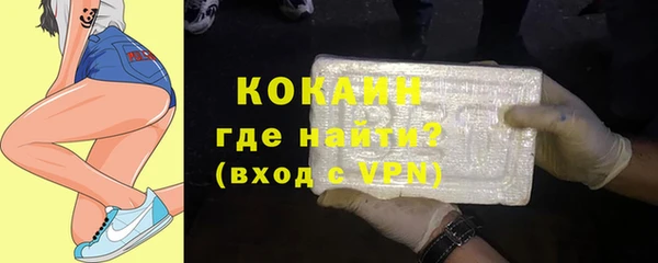 ПСИЛОЦИБИНОВЫЕ ГРИБЫ Инта