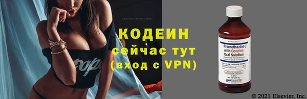 ПСИЛОЦИБИНОВЫЕ ГРИБЫ Инта