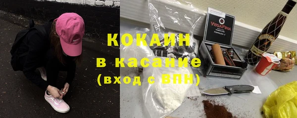 ПСИЛОЦИБИНОВЫЕ ГРИБЫ Инта