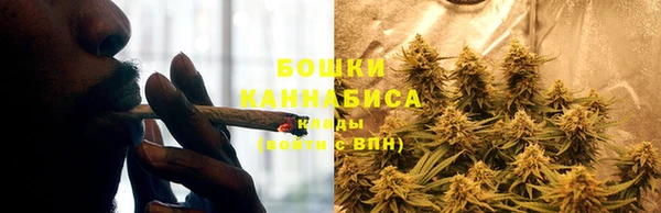 ПСИЛОЦИБИНОВЫЕ ГРИБЫ Инта