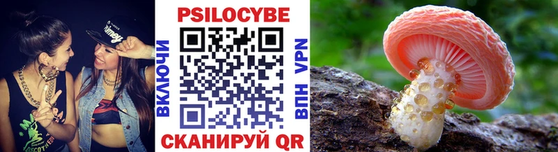 Галлюциногенные грибы мицелий Юрга