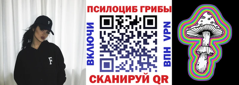 Купить где  Юрга  Псилоцибиновые грибы Cubensis 