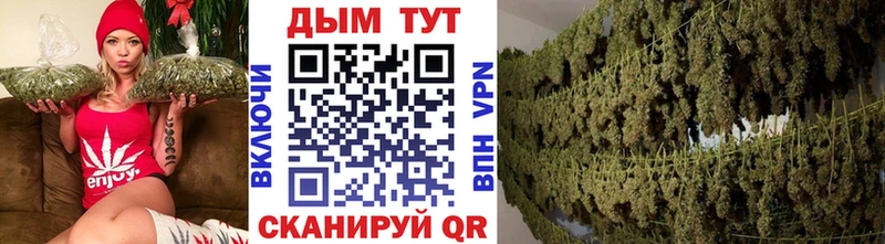 Купить где  Юрга  Канабис THC 21% 